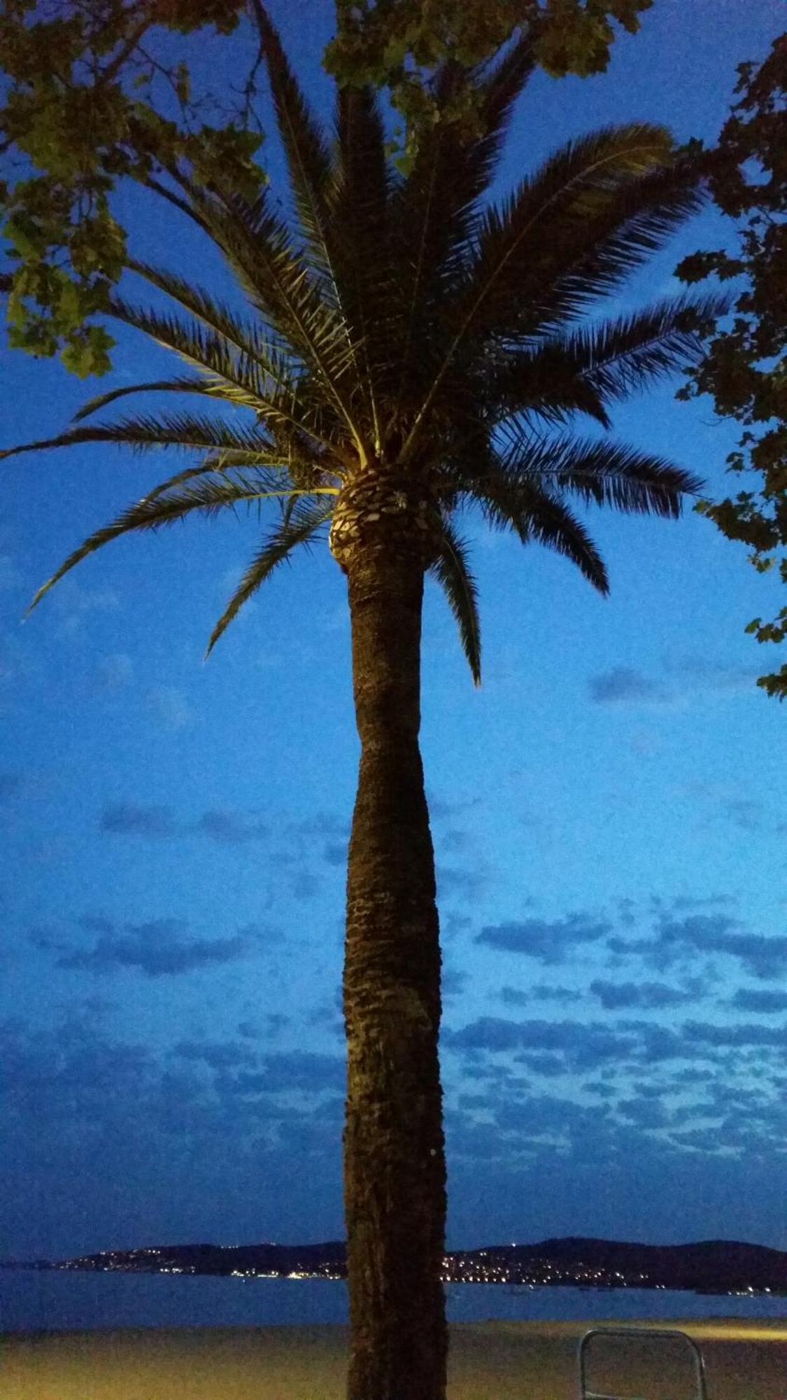 Sublime Vue Mer,Parking,Wifi Fréjus Esterno foto